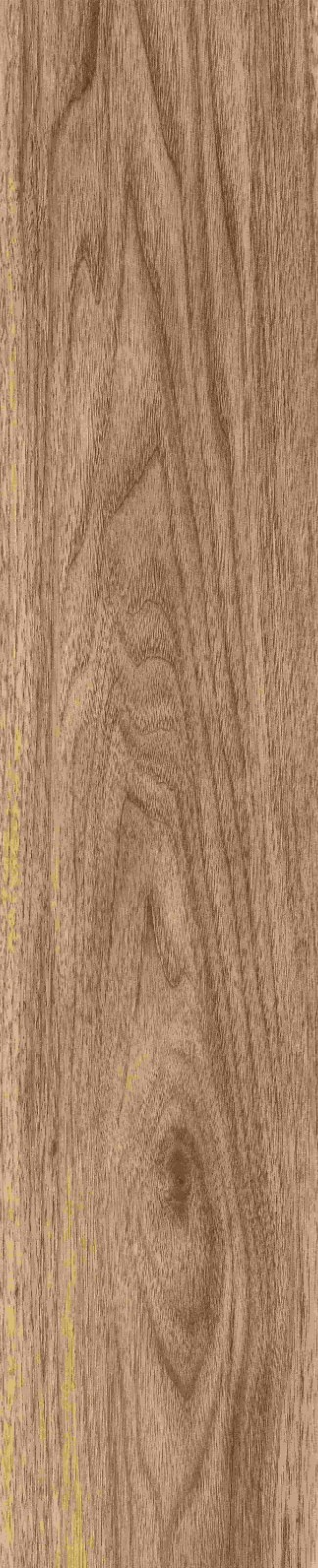 JMT1207 东洋樱桃