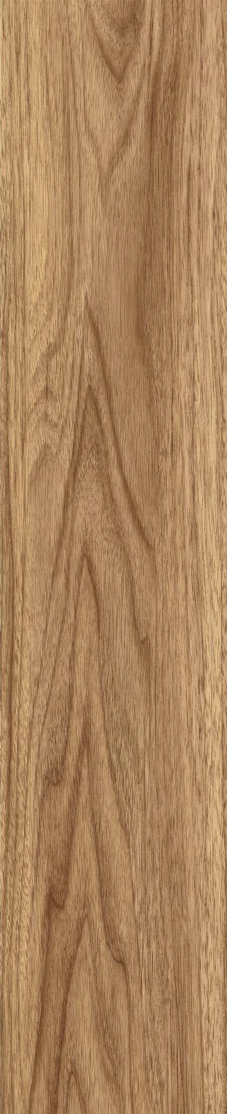 JMT1207 东洋樱桃