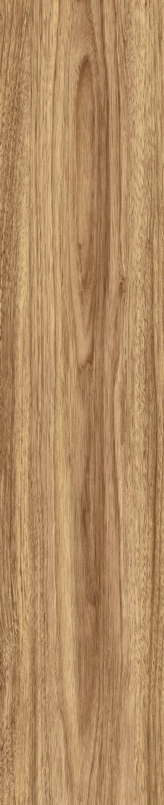 JMT1207 东洋樱桃