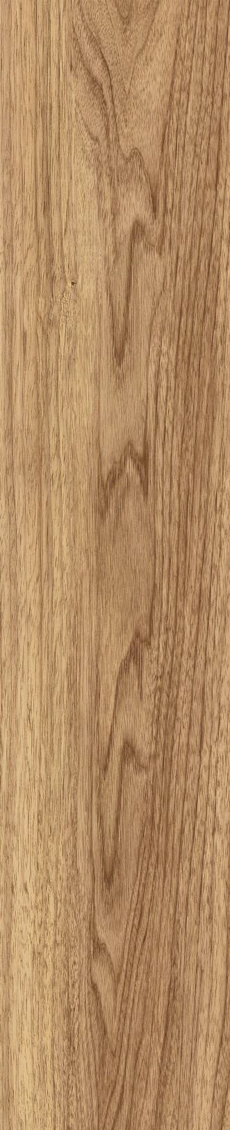 JMT1207 东洋樱桃