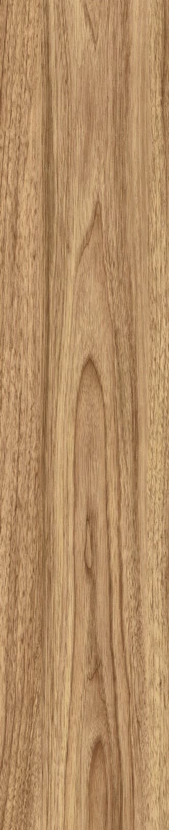 JMT1207 东洋樱桃