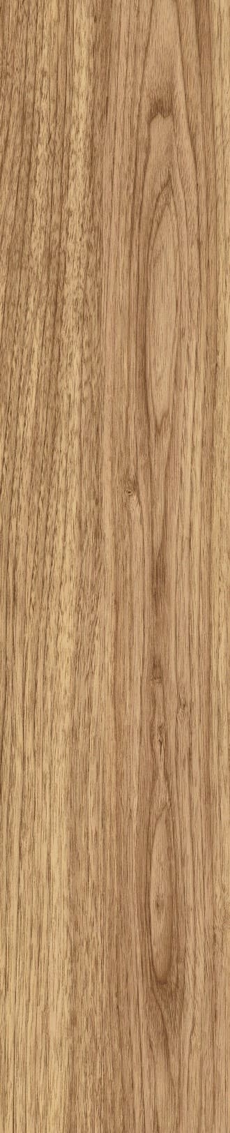 JMT1207 东洋樱桃