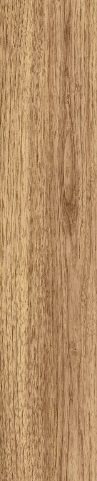 JMT1207 东洋樱桃