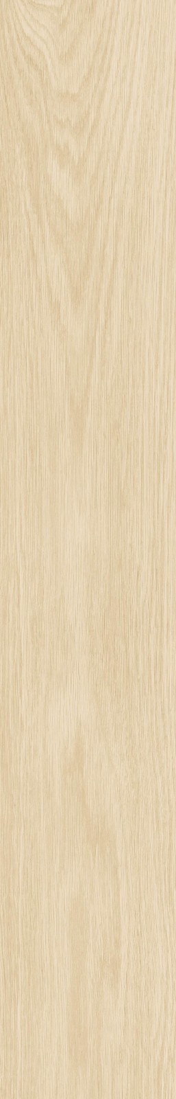 JMT2231 瑞尔橡木