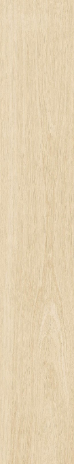 JMT2231 瑞尔橡木