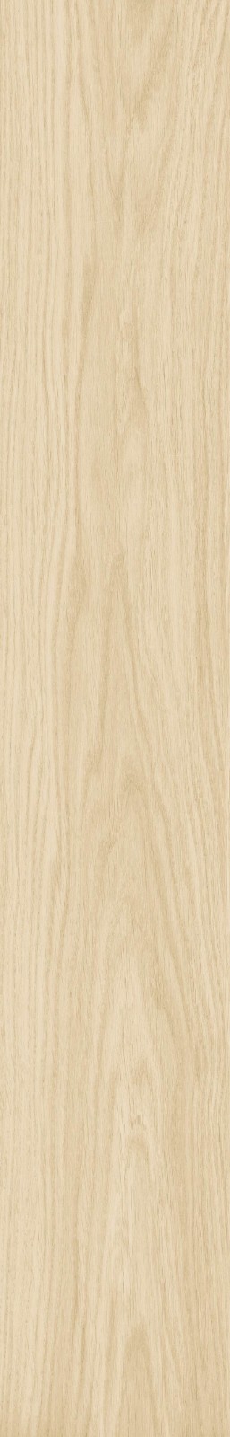 JMT2231 瑞尔橡木