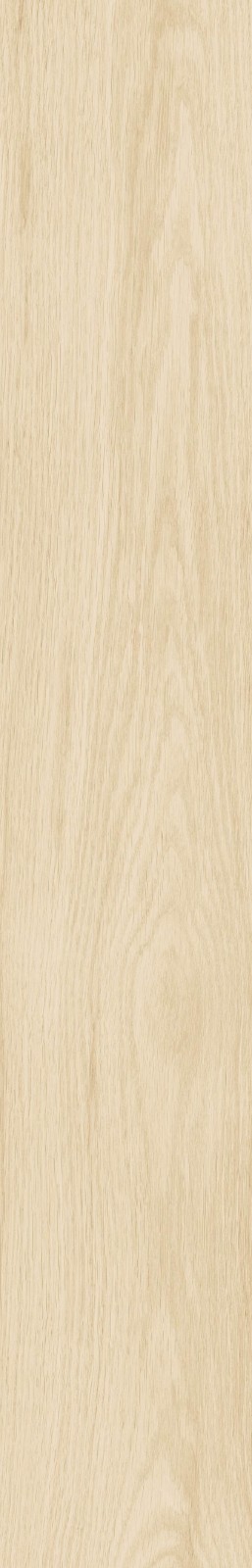 JMT2231 瑞尔橡木