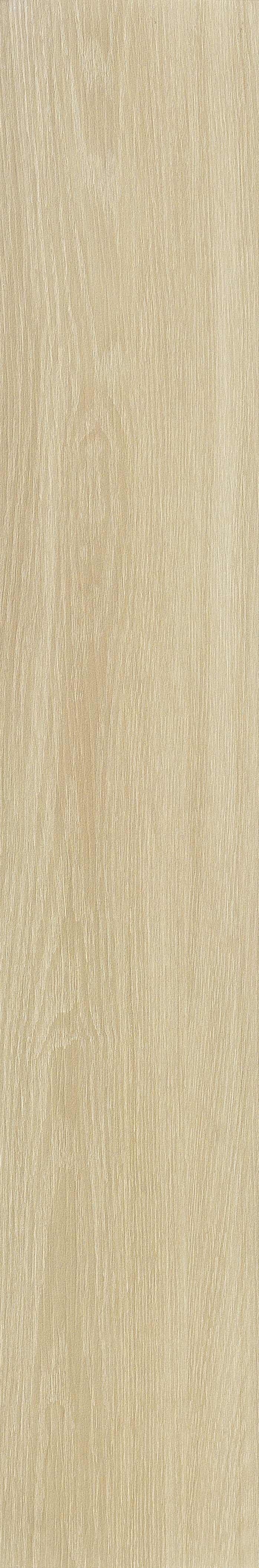 JMT2232 远东桦木