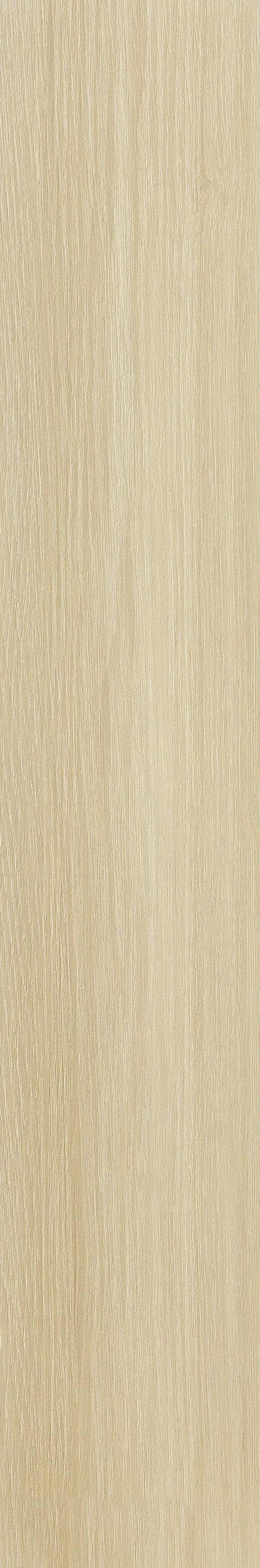 JMT2232 远东桦木