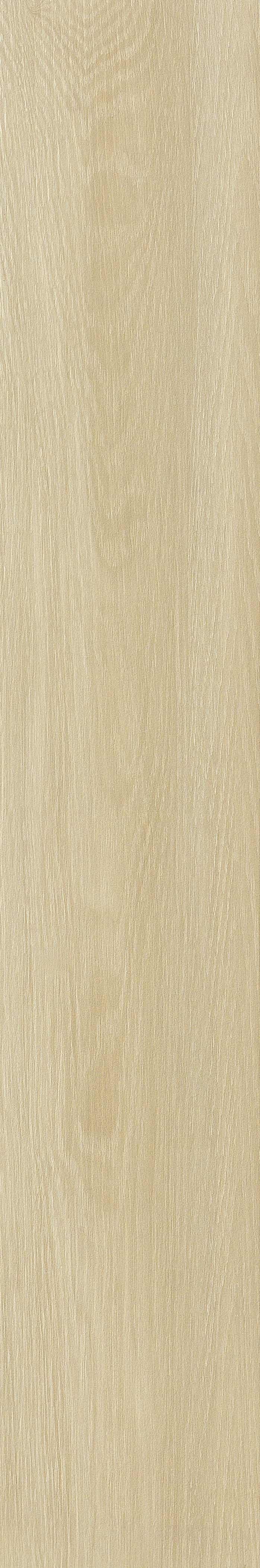 JMT2232 远东桦木