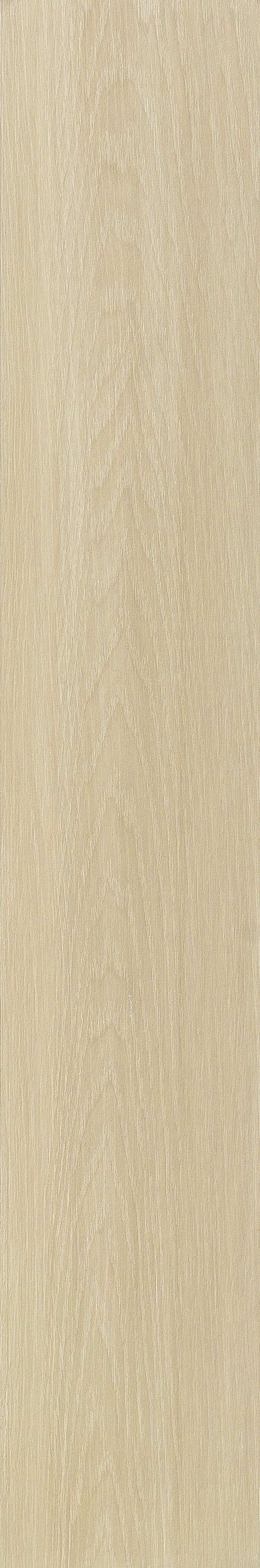 JMT2232 远东桦木