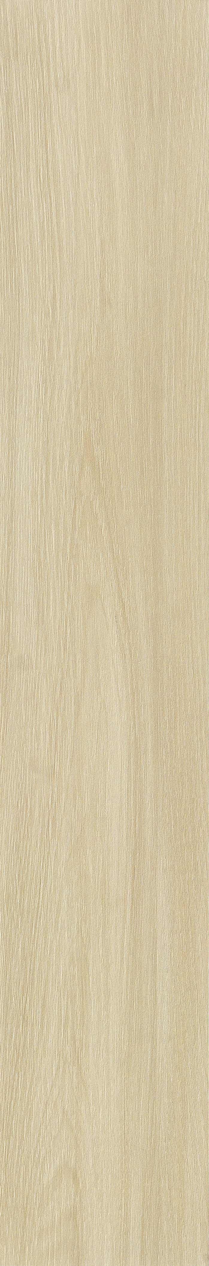 JMT2232 远东桦木