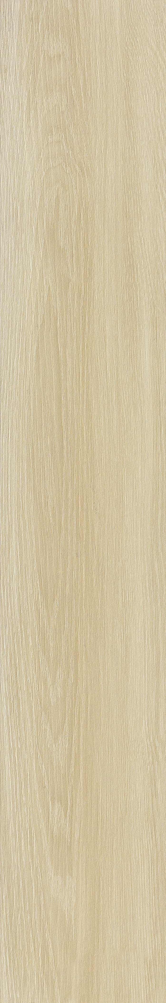 JMT2232 远东桦木