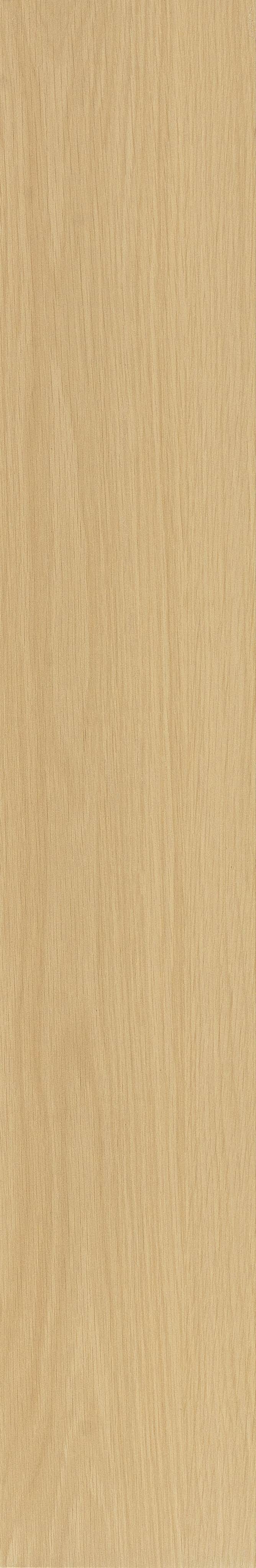 JMT2233 瑞士石松