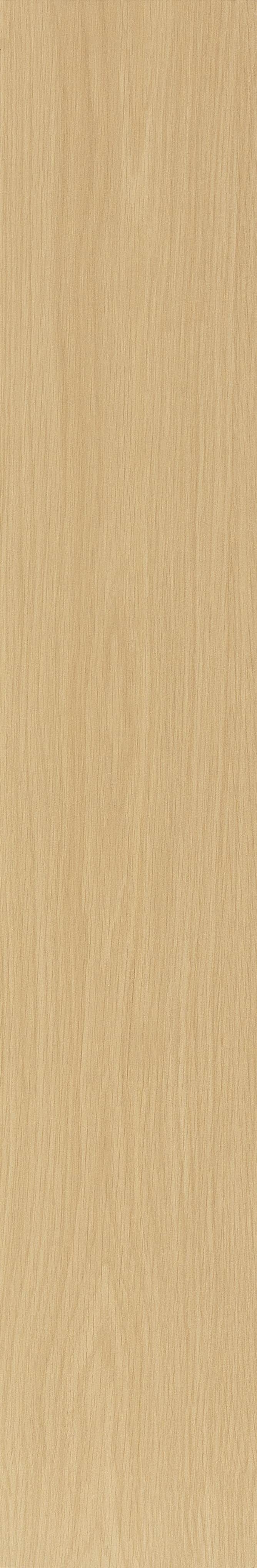 JMT2233 瑞士石松