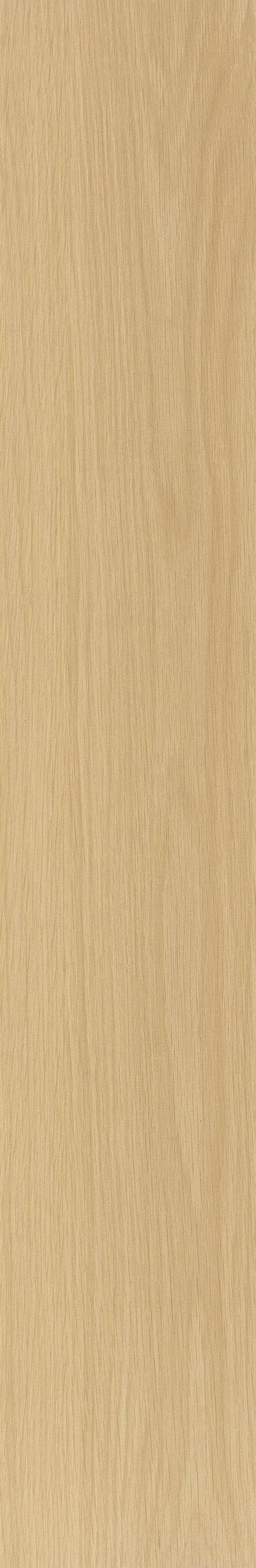 JMT2233 瑞士石松