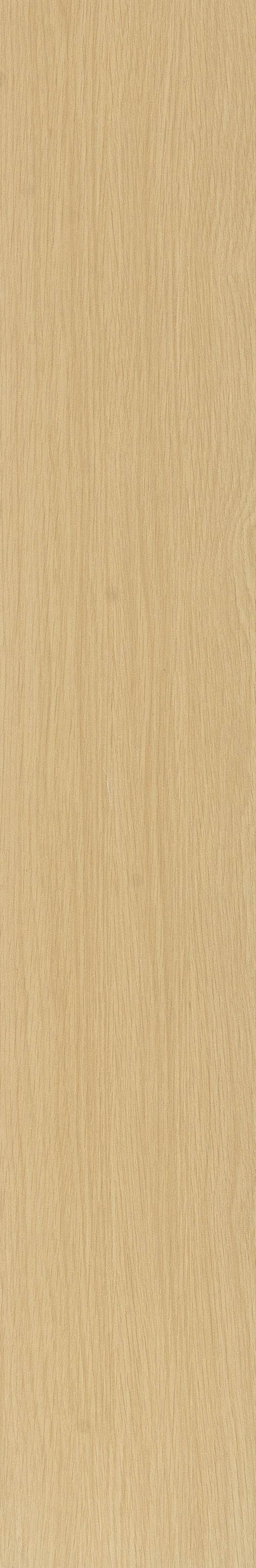 JMT2233 瑞士石松