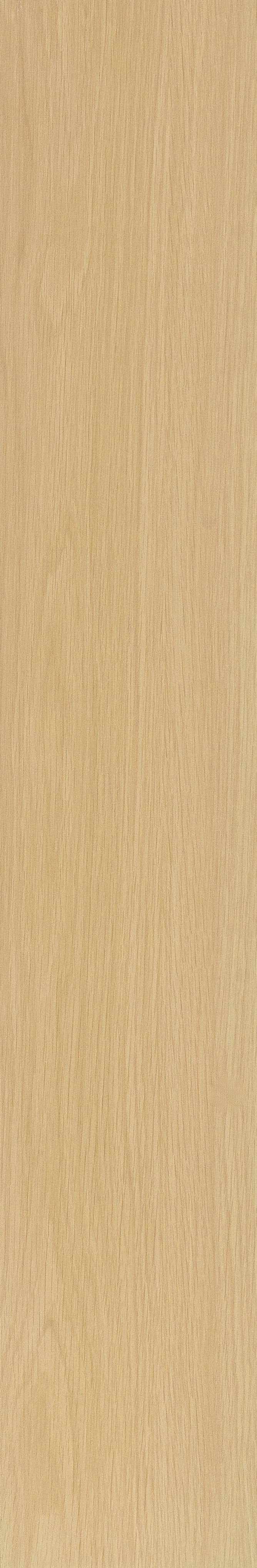 JMT2233 瑞士石松