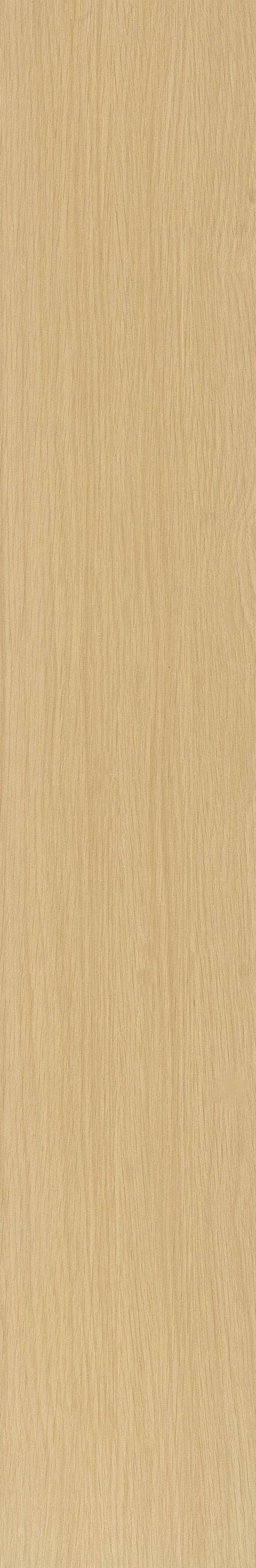 JMT2233 瑞士石松