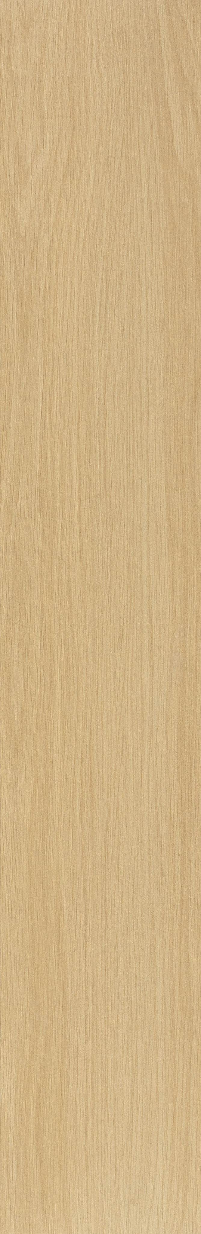 JMT2233 瑞士石松