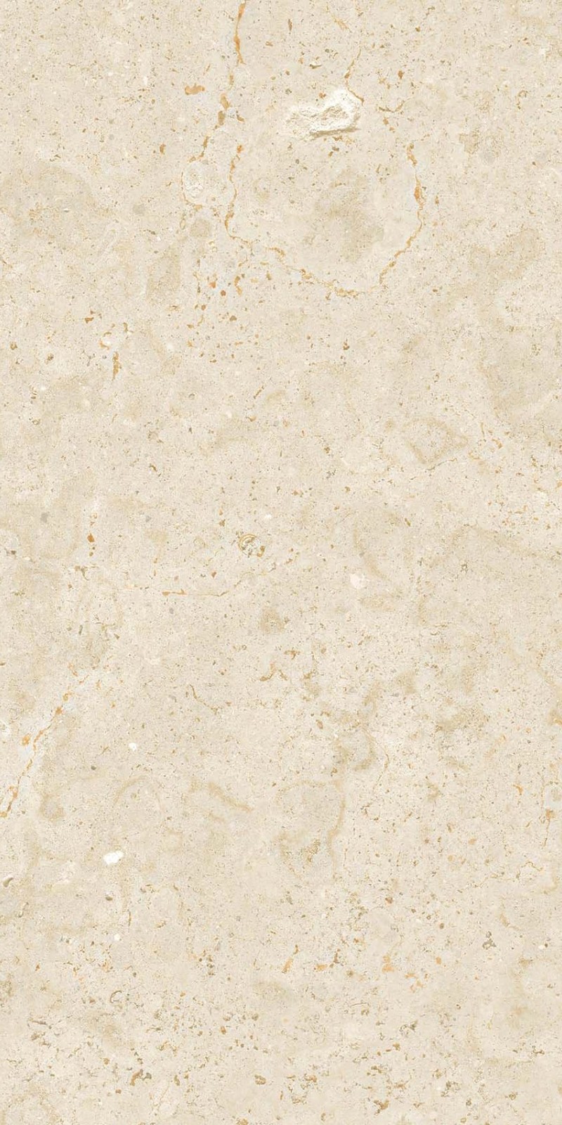 FH36826 莎士比亚 