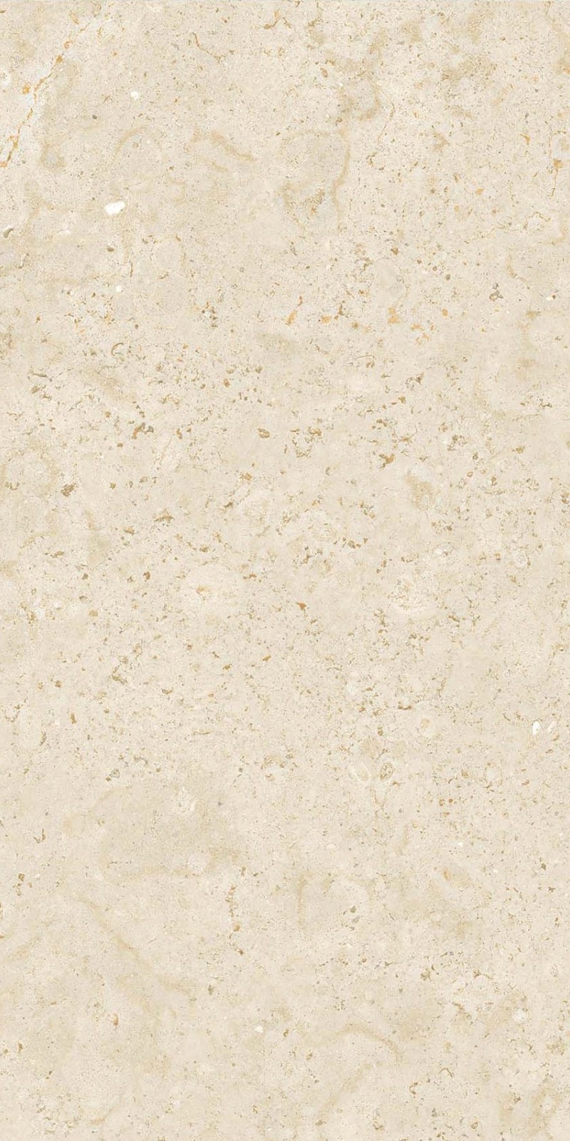 FH36826 莎士比亚 