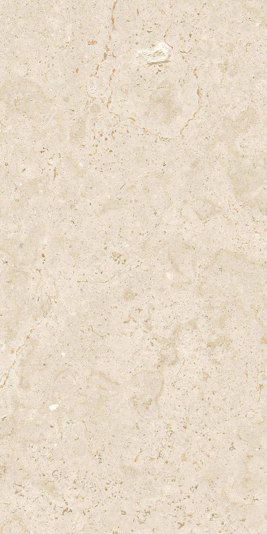 FH36826 莎士比亚 