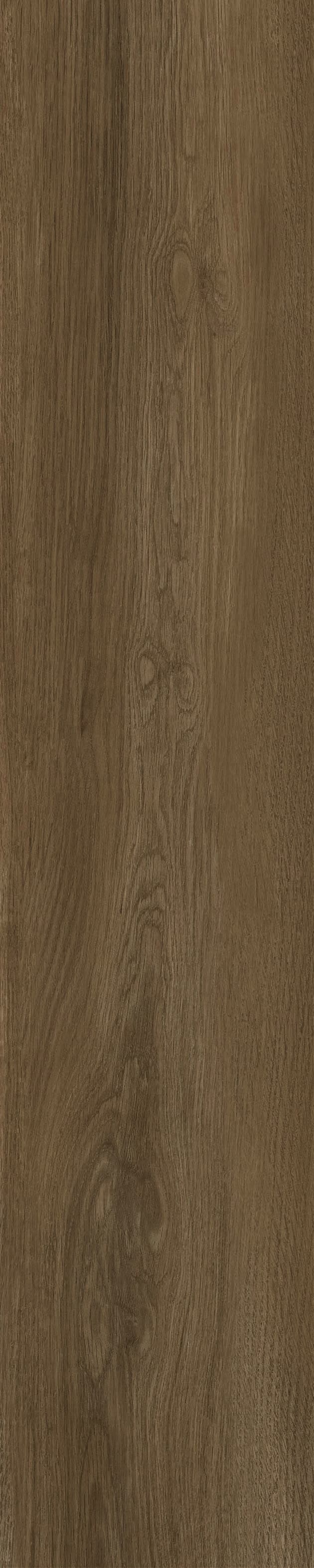 JMT1010R 法国梧桐 