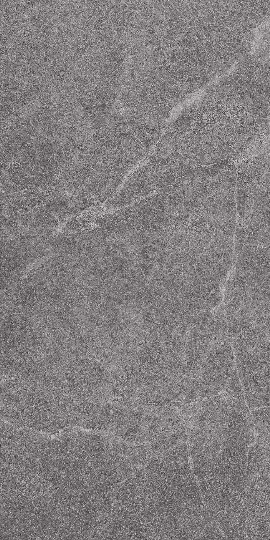 FH36813 文莱深灰 