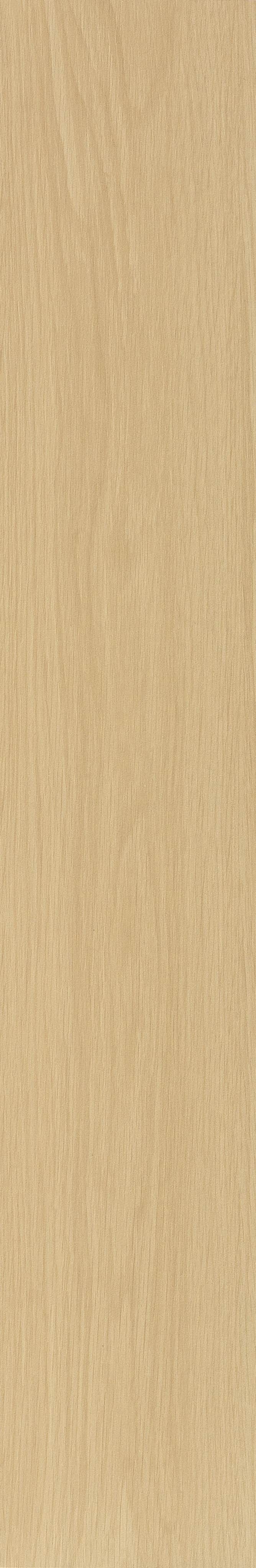 JMT2233 瑞士石松