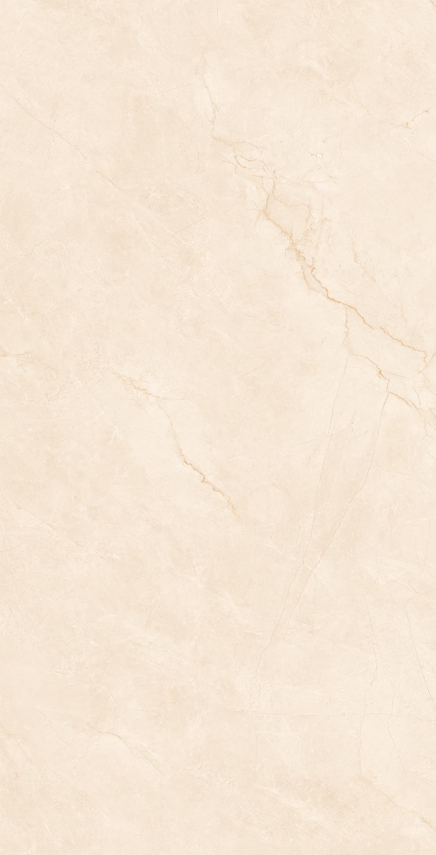 48GT1256 布里斯托