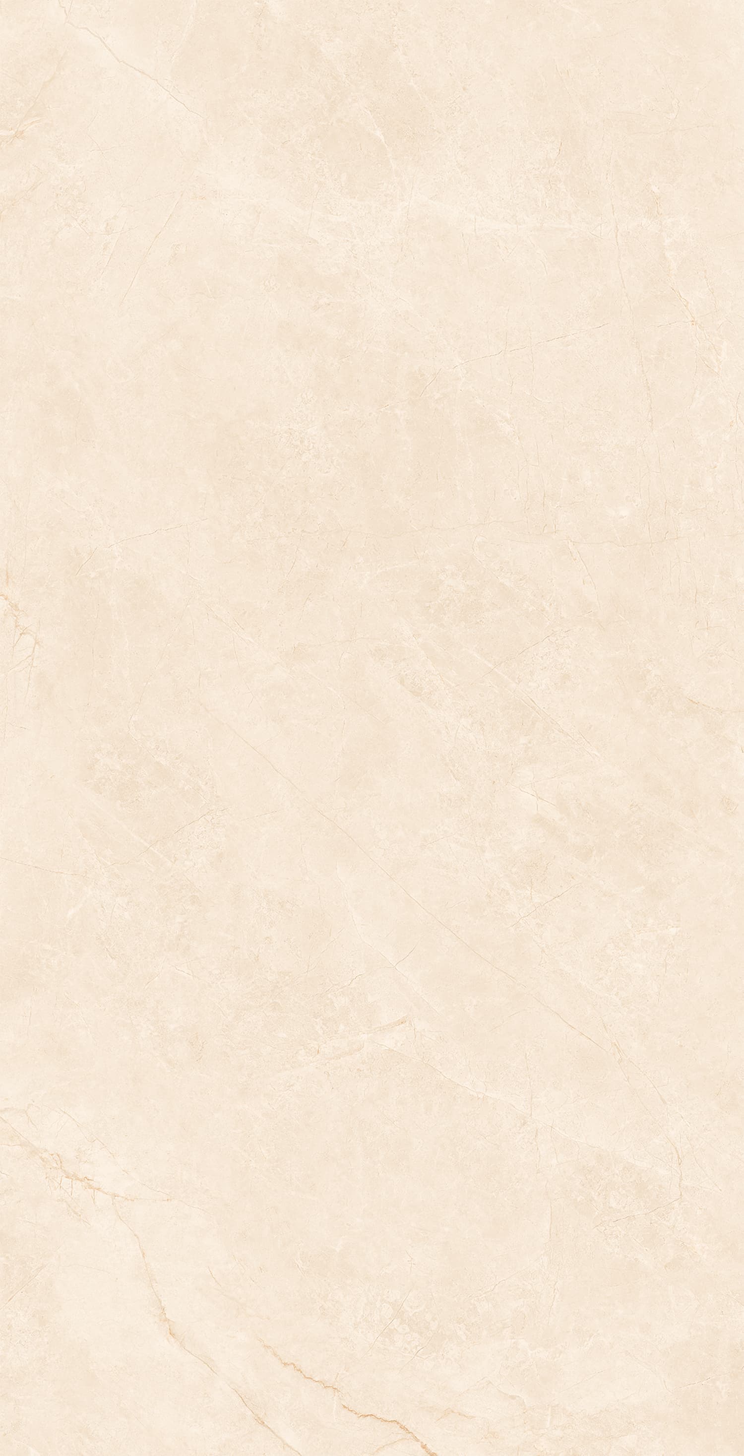 48GT1256 布里斯托