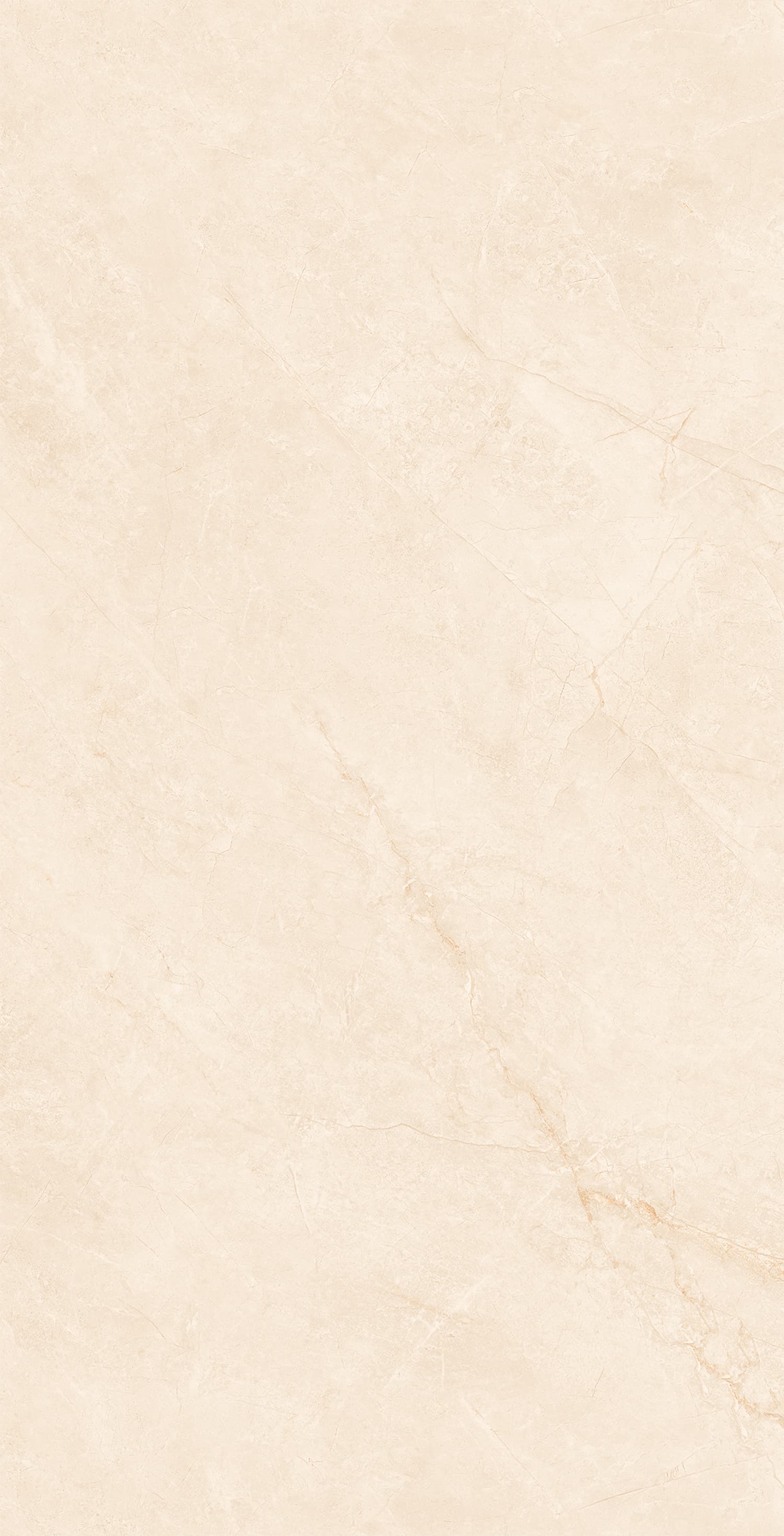 48GT1256 布里斯托