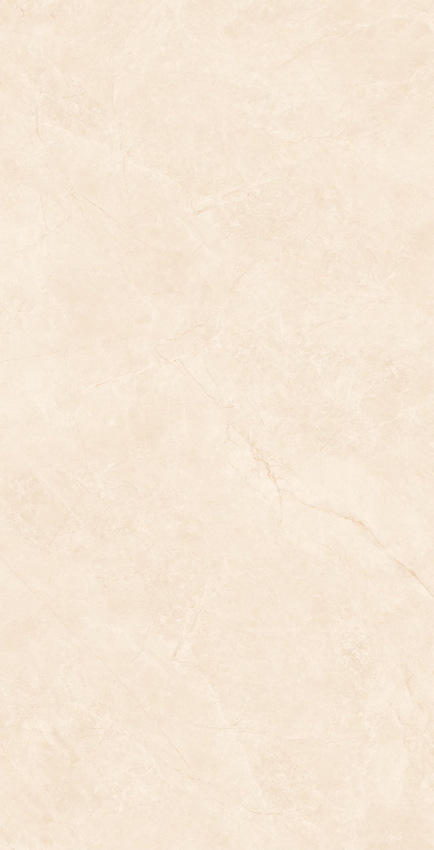 48GT1256 布里斯托