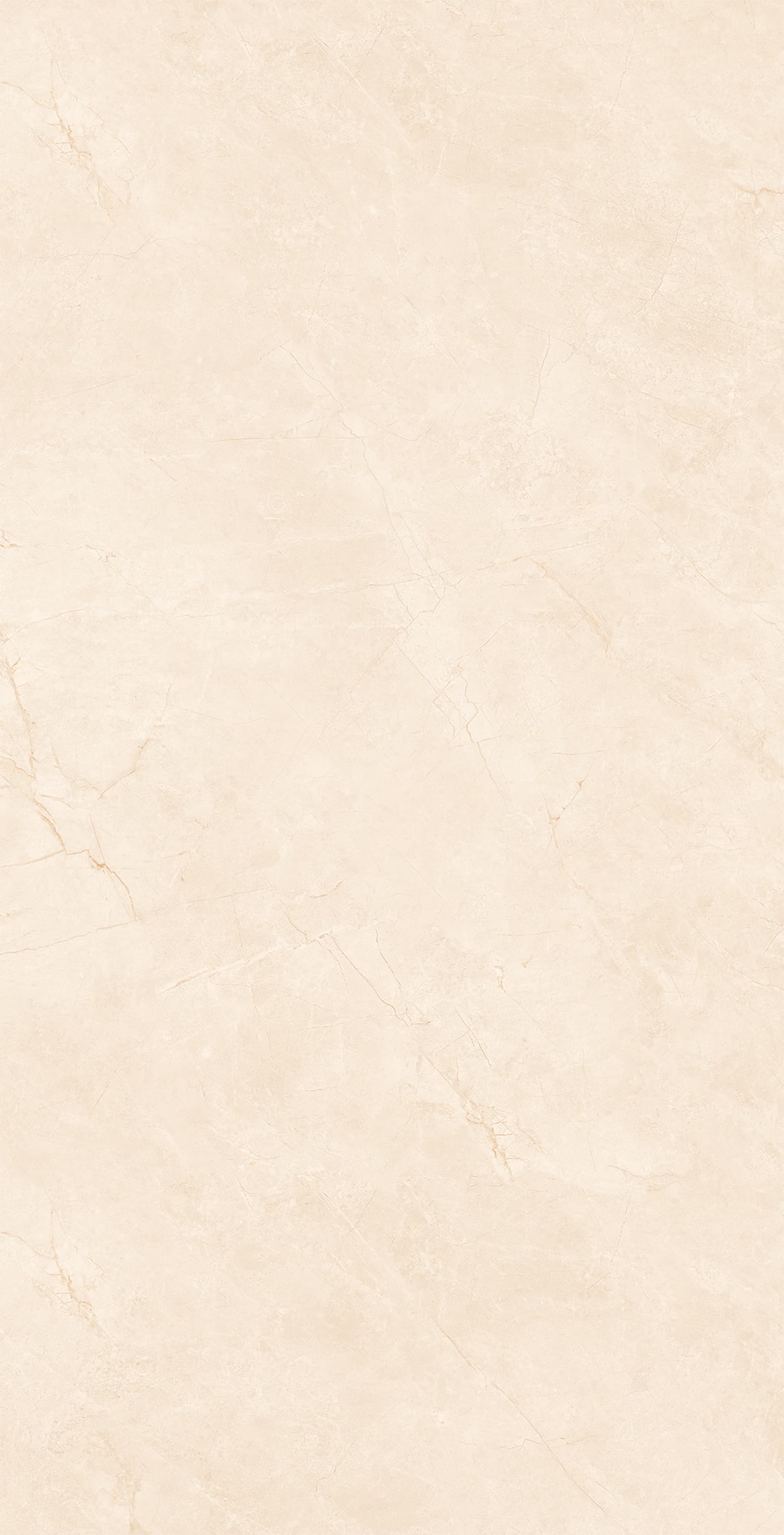 48GT1256 布里斯托