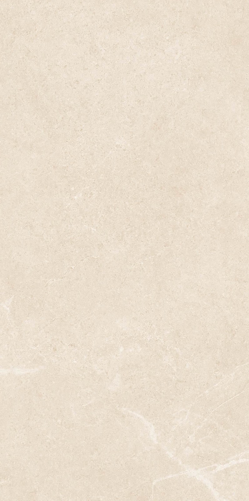 NS4811M 文莱米黄 