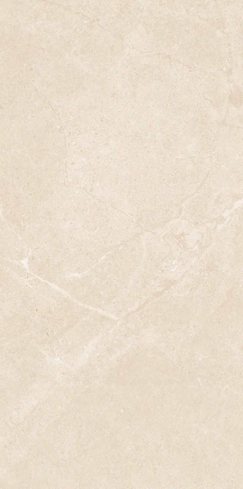 NS4811M 文莱米黄 