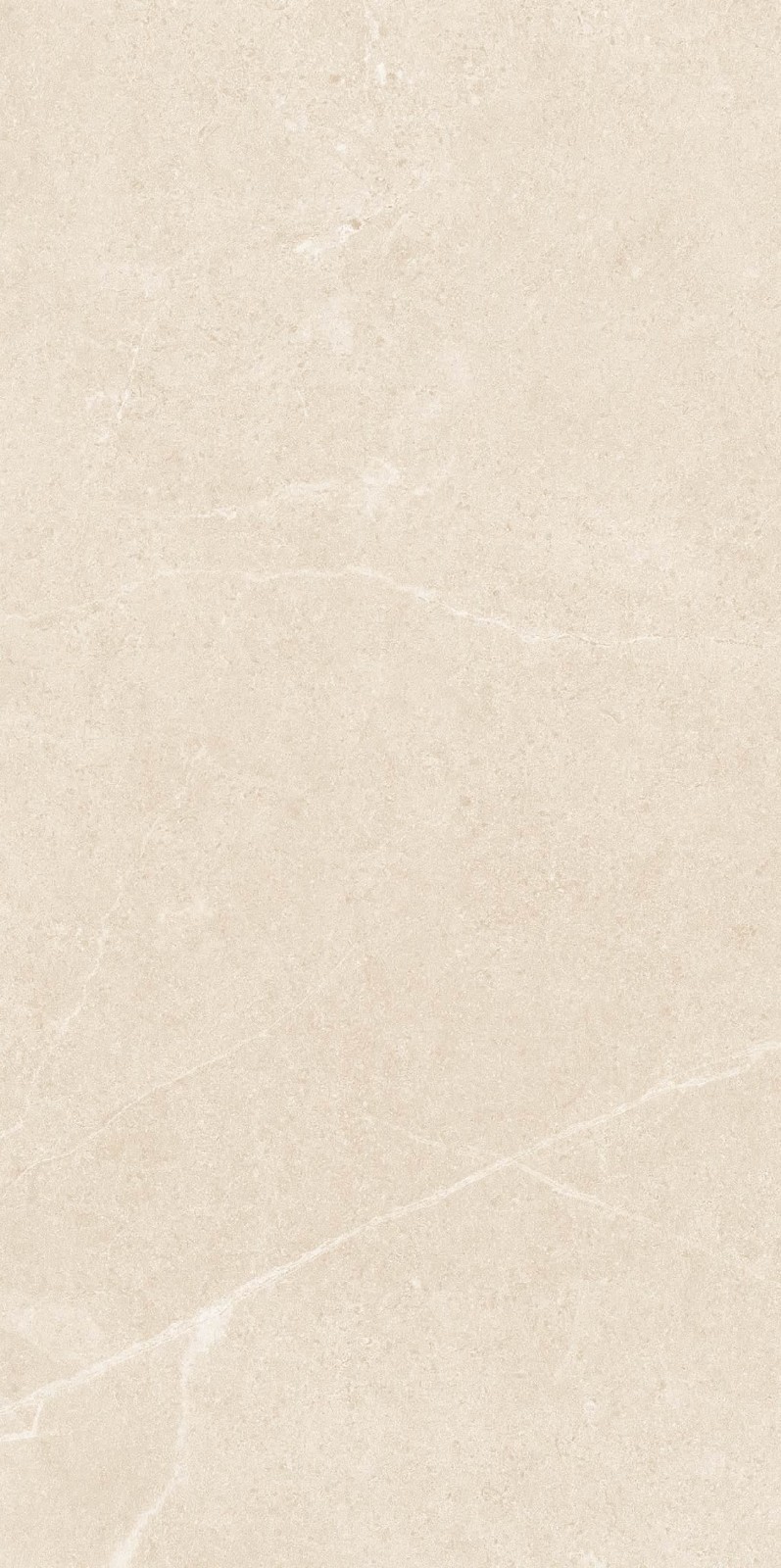 NS4811M 文莱米黄 