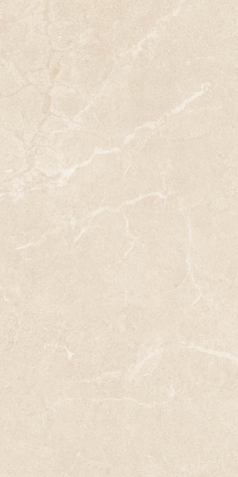 NS4811M 文莱米黄 