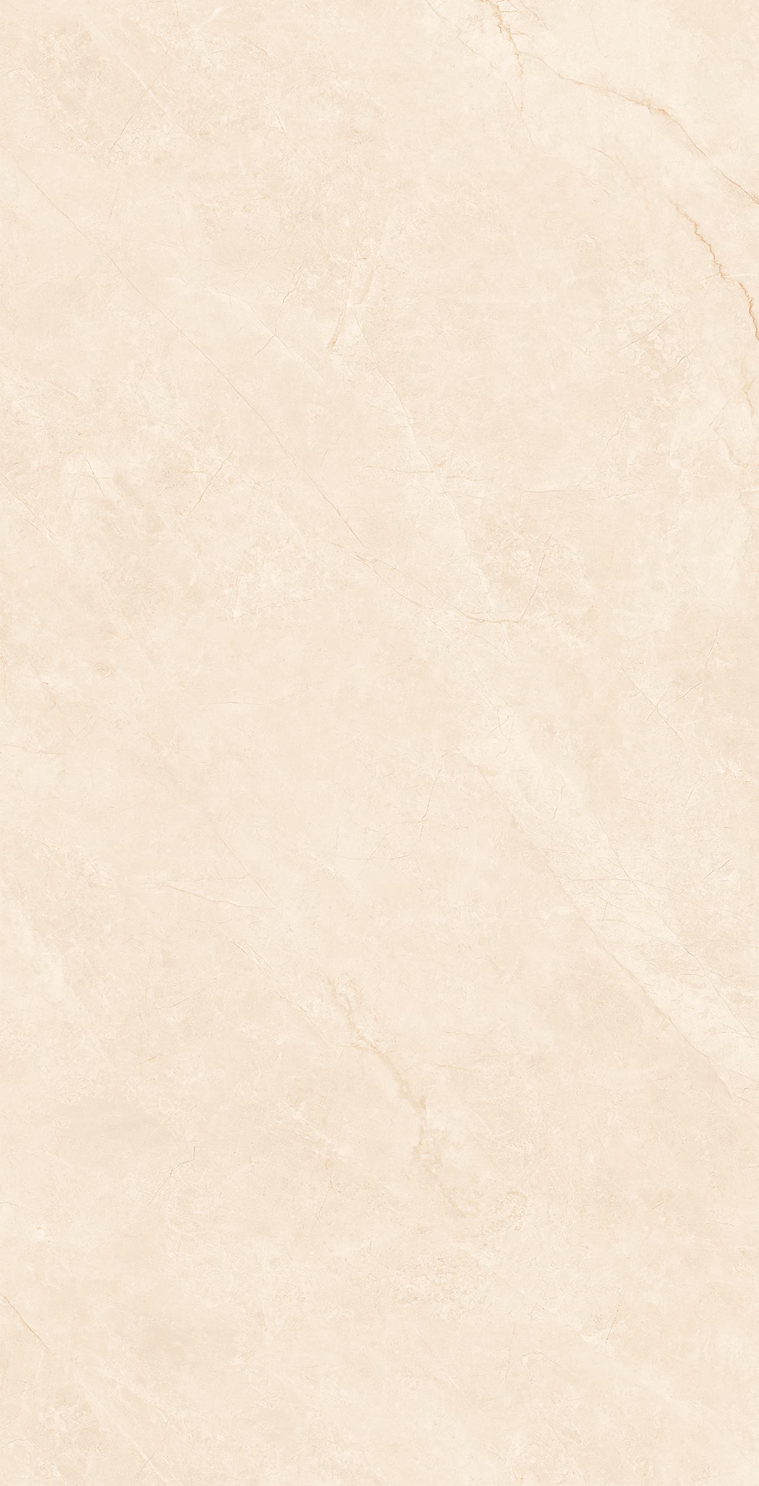 48GT1256 布里斯托