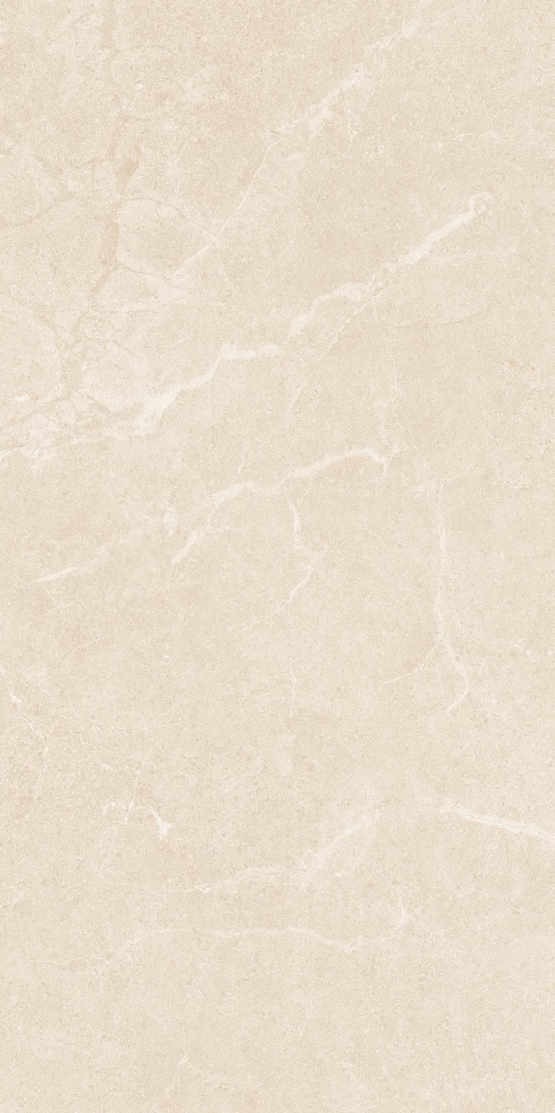 NS4811M 文莱米黄 