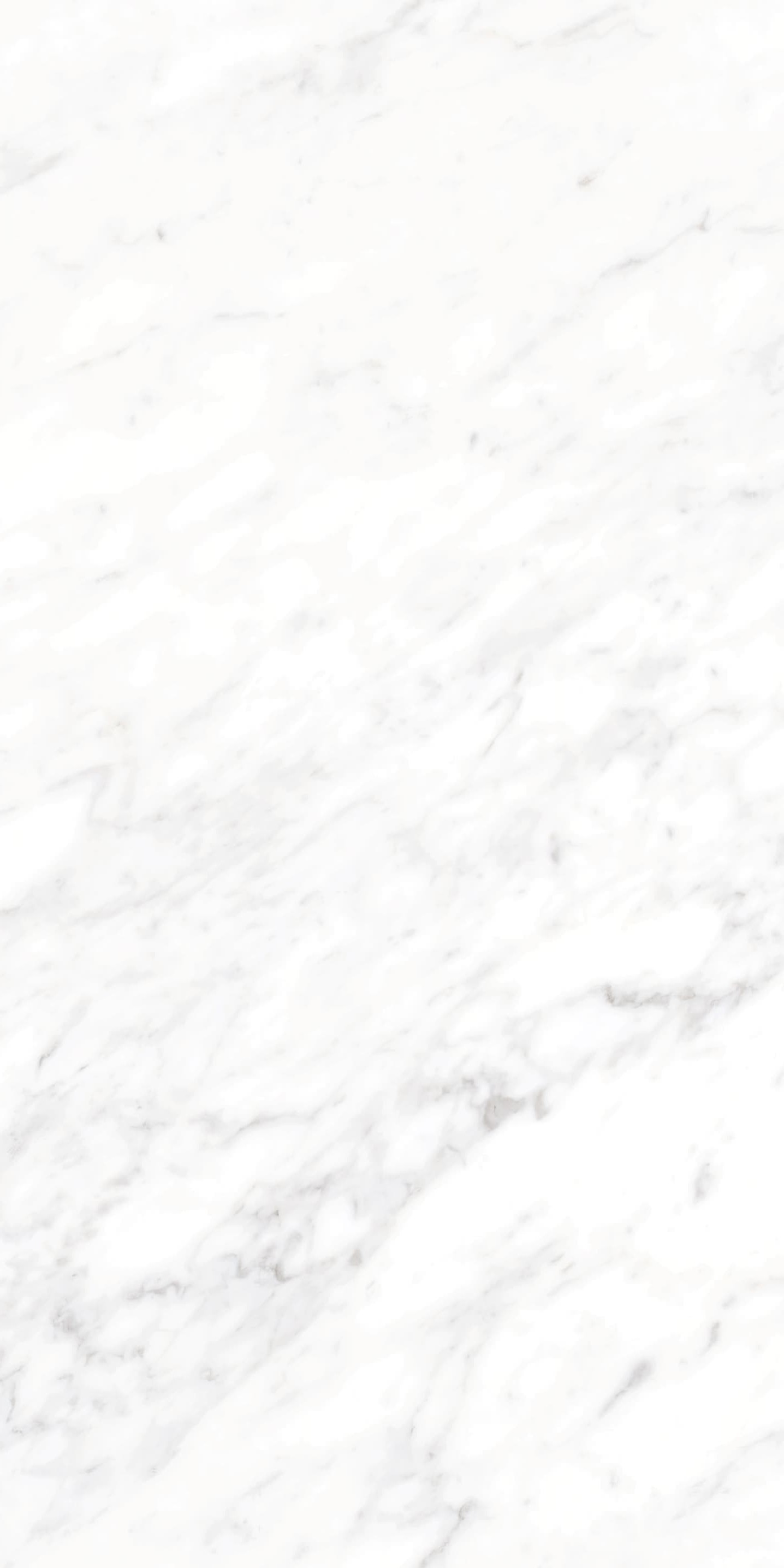 AB945310 细纹雪花白