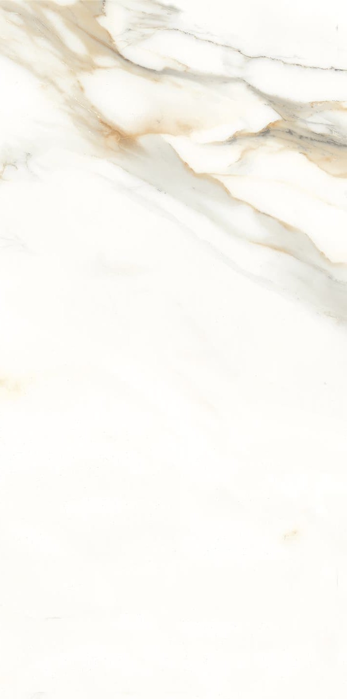 945AB1035 卡拉卡塔金