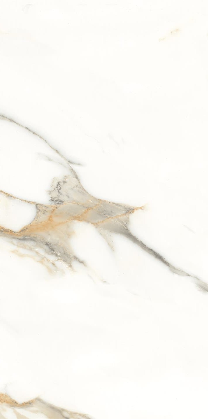 945AB1035 卡拉卡塔金