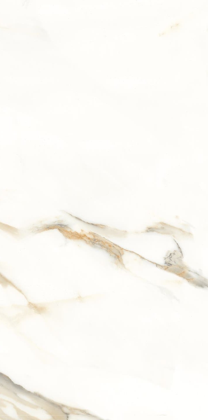 945AB1035 卡拉卡塔金