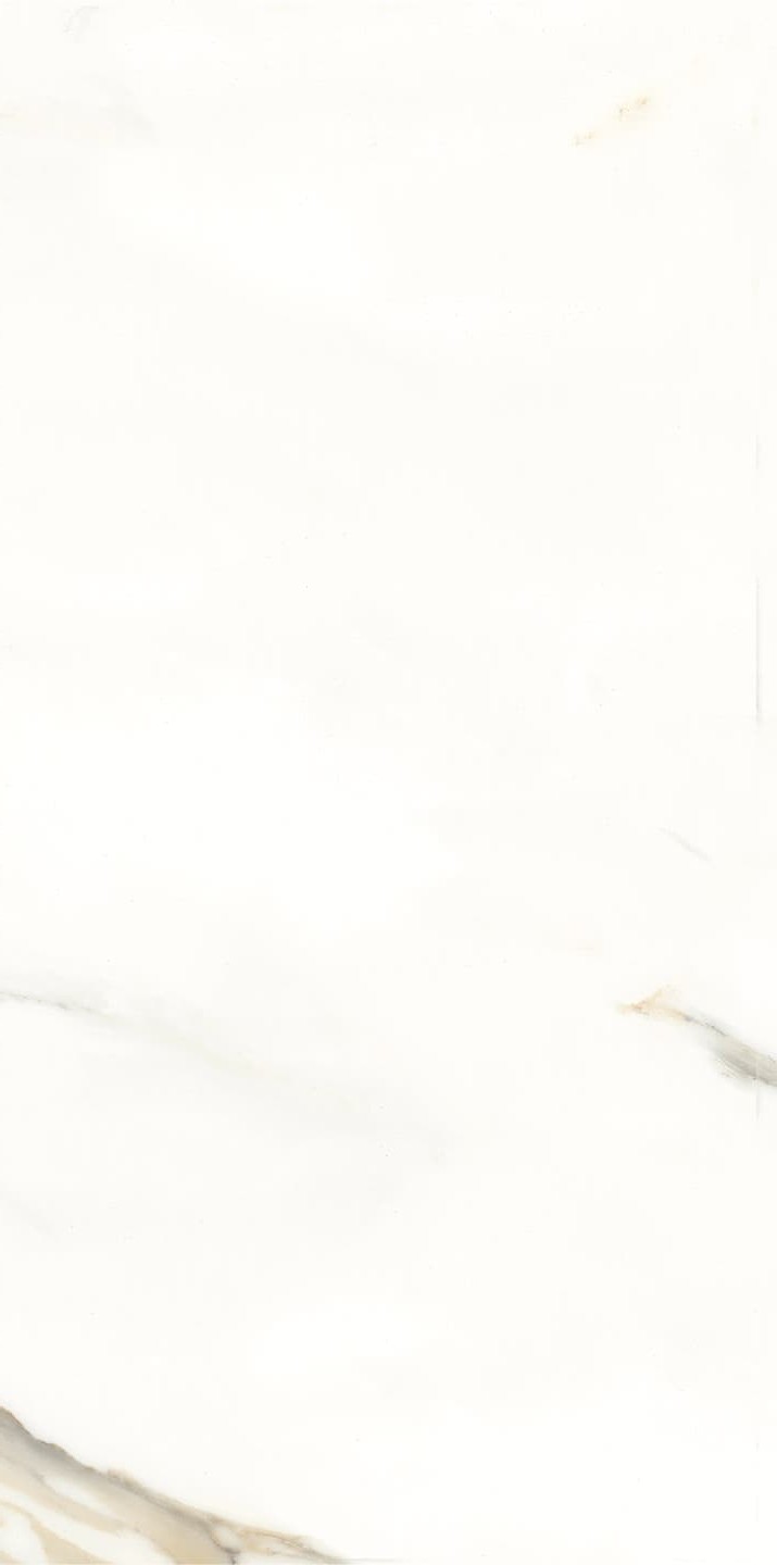 945AB1035 卡拉卡塔金