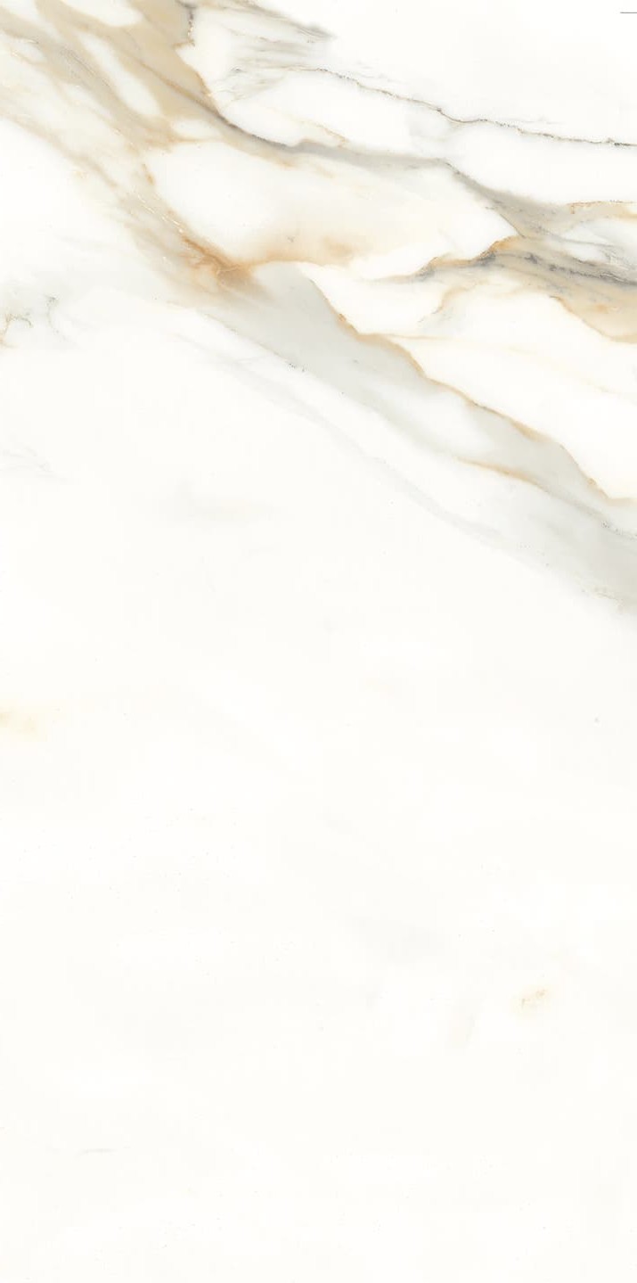 945AB1035 卡拉卡塔金