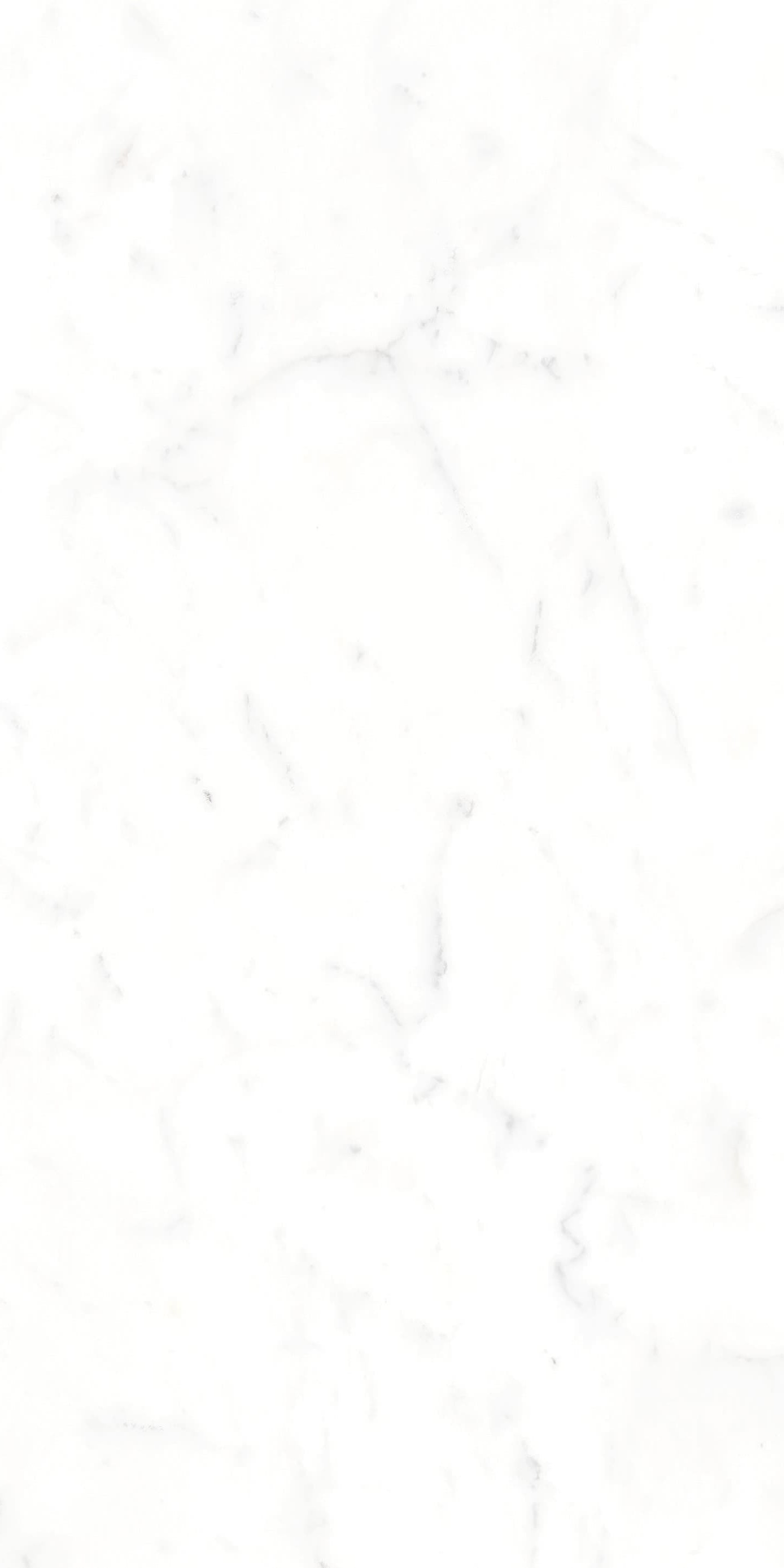 AB945303 大纹雪花白