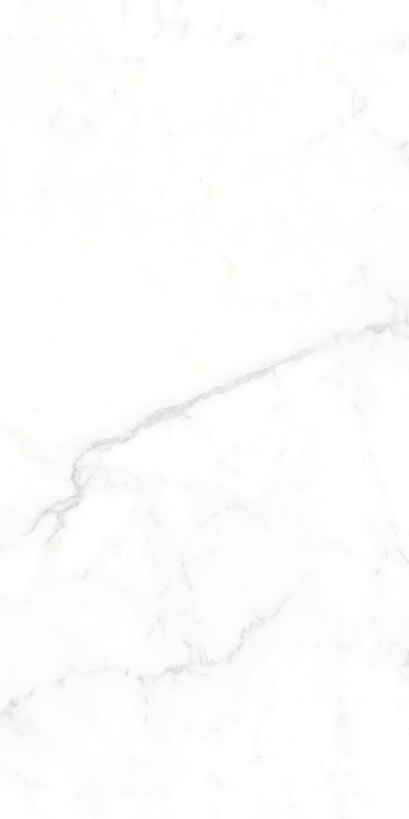 AB945303 大纹雪花白