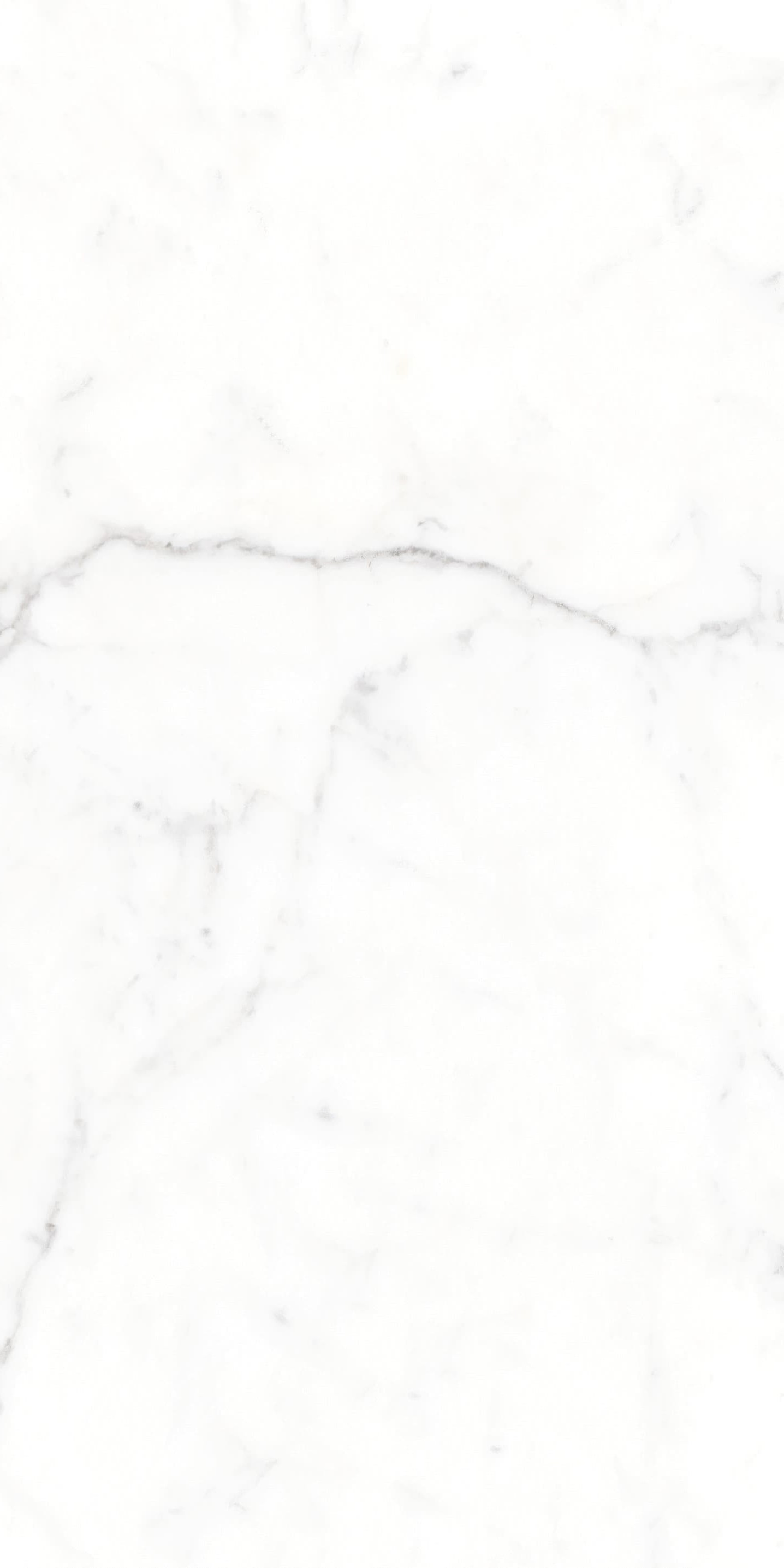 AB945303 大纹雪花白